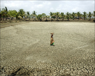 A worker walks through a dry fish pond in a field earmarked for a SEZ in Pen near Mumbai.