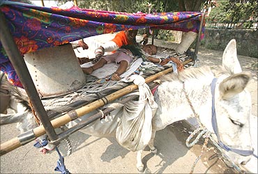A child of a nomad from the desert Indian state of Rajasthan sleeps on a cot loaded over a donkey.