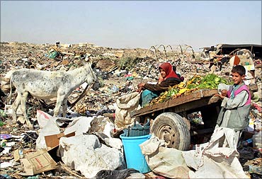 An Iraqi woman sits on a cart loaded with food scraps in a rubbish dump.