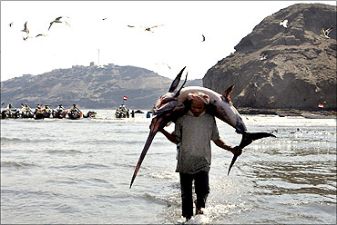 A fisherman carries a swordfish to the local fish market in Aden.
