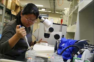 A Chinese scientist working in a lab.