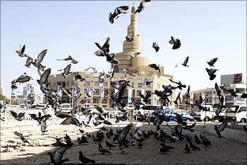 Birds fly near the Great Mosque in Doha, Qatar.