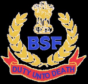 BSF logo