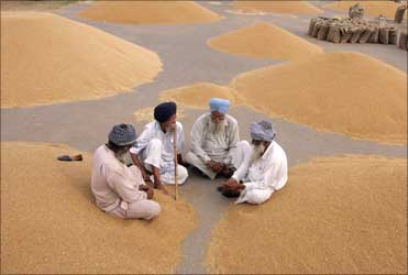 Farmers sit beside heaps of wheat at a grain market in Chandigarh.