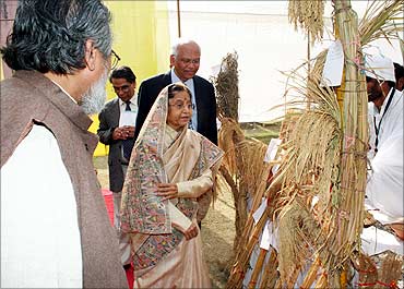 President Pratibha Patil looks at different high yielding varieties.
