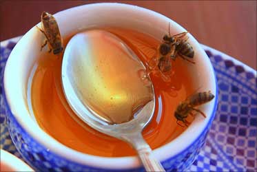 Beware! The honey sold in India is highly toxic