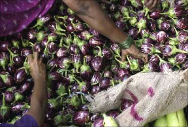 Customers purchase brinjals at a wholesale vegetable market in Mumbai.