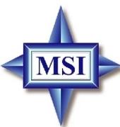 MSI