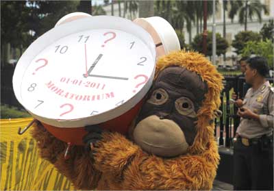 Greenpeace activists dressed as an orangutan.