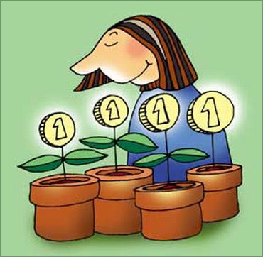 Beginners should opt for equity diversified funds.