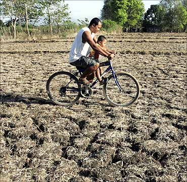 A man and his son ride a bicycle on dry and cracked farmland in San Juan town, near Manila.