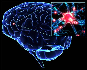 Neuroscientists want to map basic neuronal circuits.