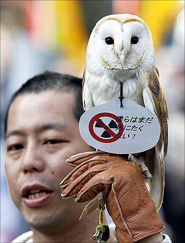 An anti-nuclear protester shows off his owl during a march in front of Tokyo Electric Power Co.