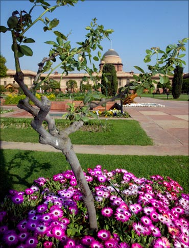 The Mughal Gardens in Delhi.