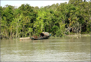 Logging boat of the Sundarbans.