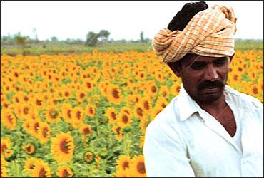 This fertile Chaganur village in Bellary has been acquired to build an airport to facilitate the mining and steel industry.