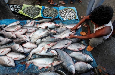 A man sells fish at a wholesale fish market.