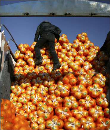 A vendor unloads fruit.