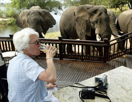 A tourist sips her drink while watching elephants graze at an exclusive hotel in Livingstone.