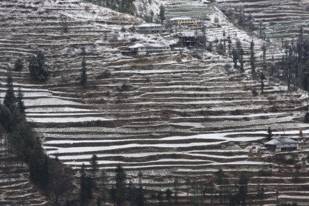 Snow covered fields and houses near Kufri.