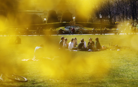 People are seen behind blossoms of golden rain in Stadtpark during a warm spring day in Vienna.