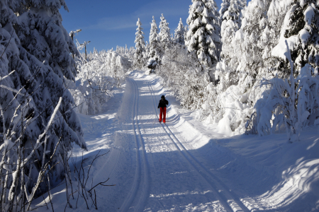 A skier makes her way through the snow on the outskirts of Oslo.