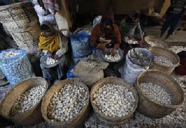 Vendors sort garlic at a wholesale vegetable market
