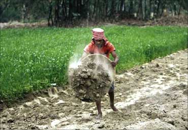 A labourer works under the National Rural Employment Guarantee Act to build a dirt road at Sheikhpur in Bihar.