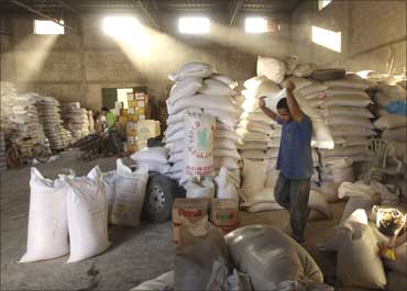 Allow export of wheat, rice and sugar, says Pawar