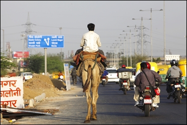 A man rides a camel on one of the main roads in New Delhi.