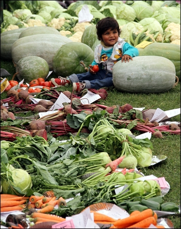 A child sits besides vegetables at an annual vegetable and flower exhibition in Lucknow.