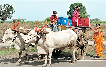 Godrej Chotukool being transported in a bullock cart.