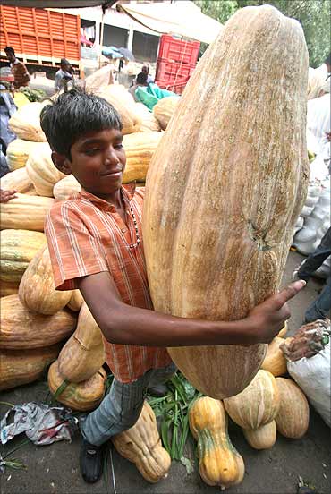 A boy carries a pumpkin at a wholesale vegetable market.