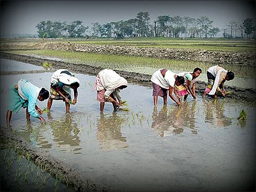 Agriculture: What others must learn from Gujarat!