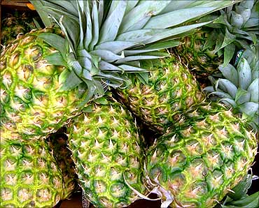 Co cultivates 25,000 tonne of pineapple per year.