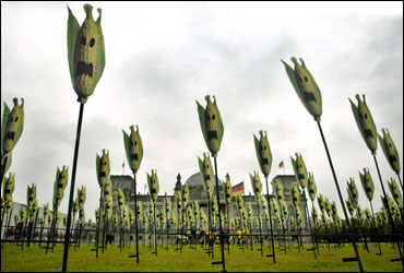 A mock corn-on-the-cob field set up by Greenpeace activists in front of Berlin's parliament building