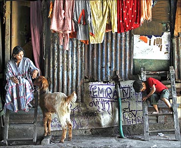 Seema, 32, plays with her goat Rani outside her shanty built under a flyover.