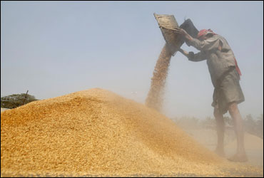 A labourer works at a rice mill on the outskirts of Agartala.