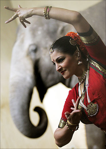 A dancer in an traditional Indian dress poses in front of an elephant.