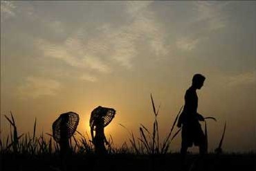 Singur farmers want land back, as legal battle on