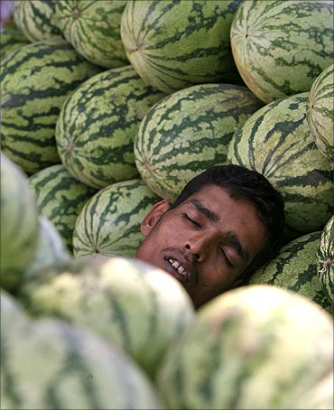 A vendor sleeps inside a stall of watermelons at a roadside stall in Hyderabad.
