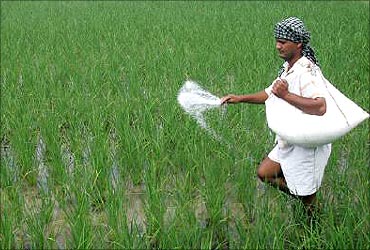 Fertiliser subsidies will cut wastage