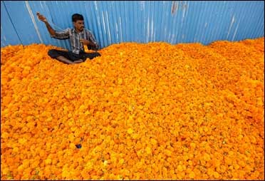 A vendor strings marigold flower garlands.