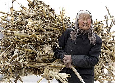 A woman carries a load of firewood to her home in the village of Da Shi Men.