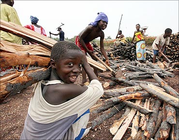 A boy gathers firewood