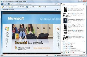A screenshot of Internet Explorer 8