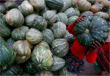 A girl carries a pumpkin at a wholesale vegetable market in Chandigarh.