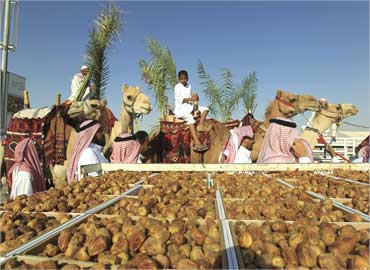 People lead their camels past boxes of dates on display in the city of Buraidah, north of Riyadh.
