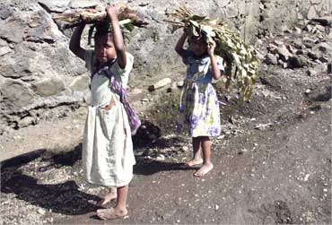 Children carry firewood and leaves in a mountain village in southern Anjoun, Comoros.
