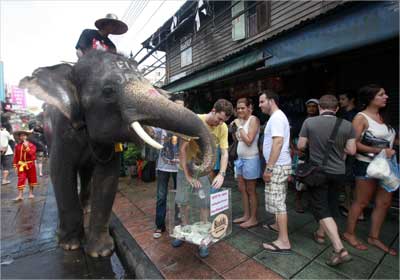 A mahout rides an elephant as they collect money for victims of the recent Japan earthquake in Bangkok.